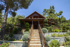 Гостиница Ricky Chalet Near Troodos, Spilia